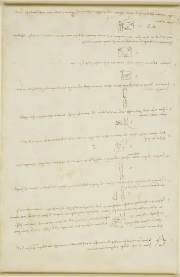 Studies of the Proportions of the Foot