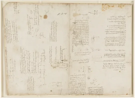 Études des proportions de la tête, du torse et du bras