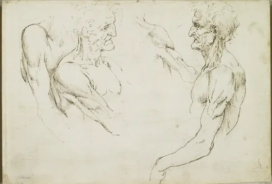 Studies of the Superficial Anatomy of the Neck, Shoulders and Upper Arm