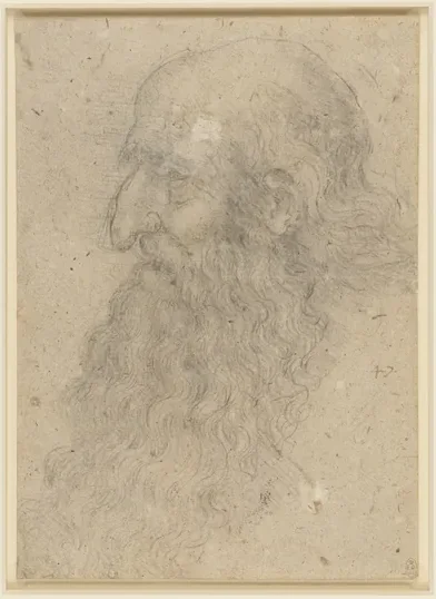 Study of a Bearded Old Man in Profile