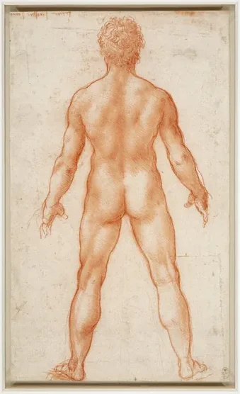 Étude d'un nu masculin vu de dos