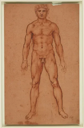 Étude d'un nu masculin vu de face