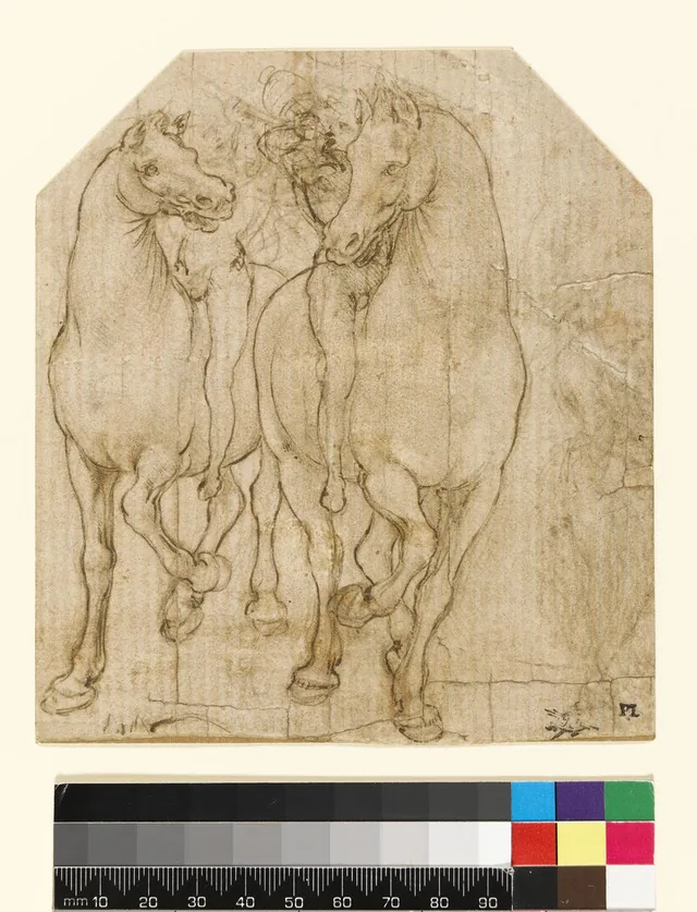 Estudo de cavalos e de cavaleiros