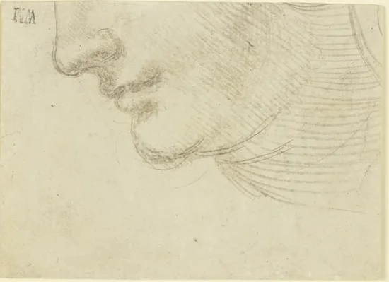 Study of the Head of a Woman