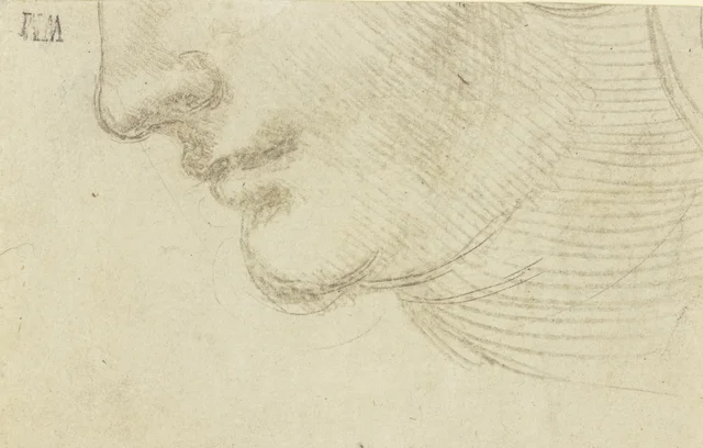 Estudo de cabeça de mulher, Leonardo da Vinci