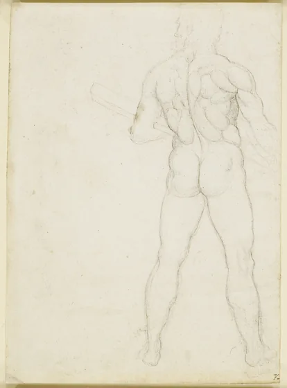 Study of the Muscles of a Man's Back