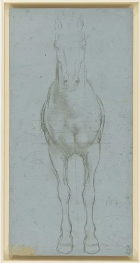 Étude des proportions d'un cheval