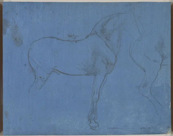 Étude des proportions d'un cheval