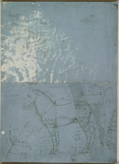Étude des proportions d'un cheval