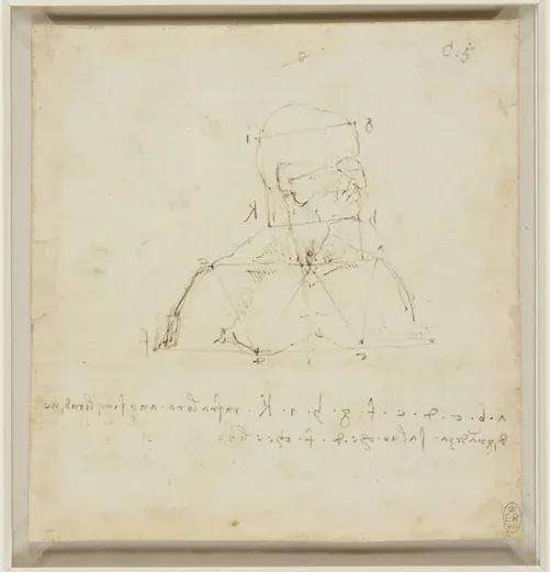Study of the Proportions of the Head and Chest