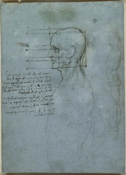 Study of the Proportions of the Head and Face