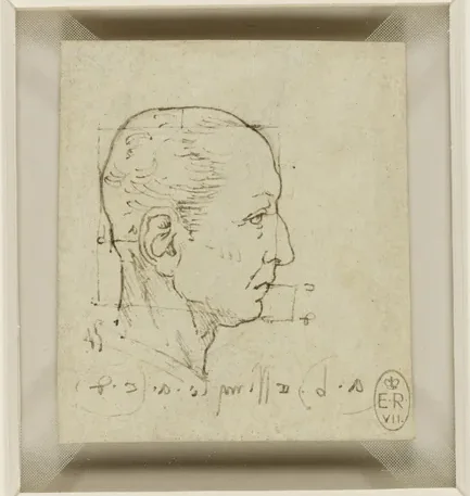 Study of the Proportions of the Head