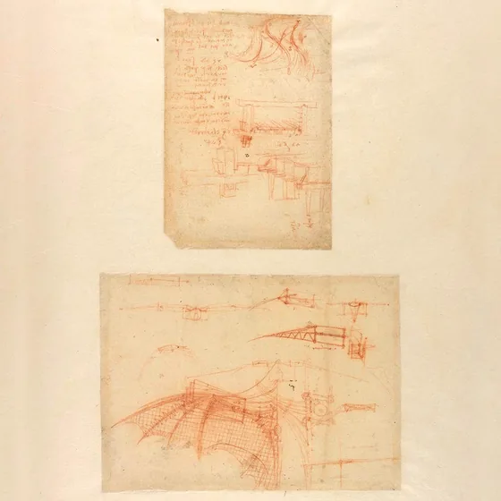 Étude de l'aile d'une machine volante