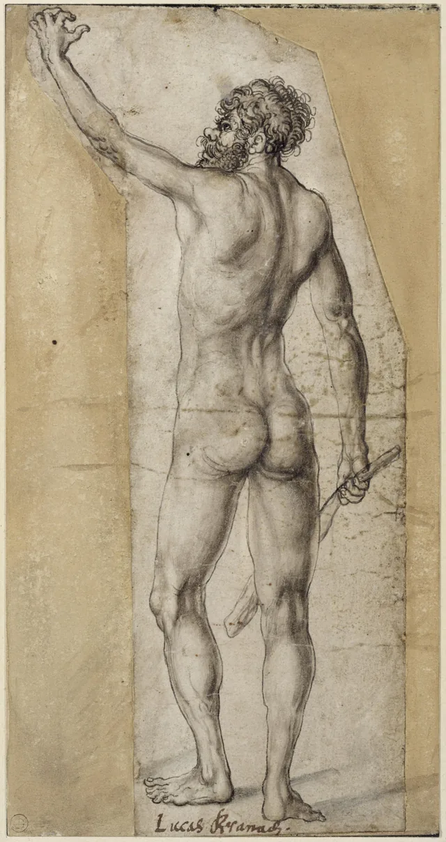 Hombre desnudo de pie, Lucas Cranach el Viejo