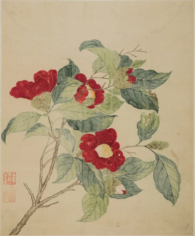 Camellias, Ma Yuanyu