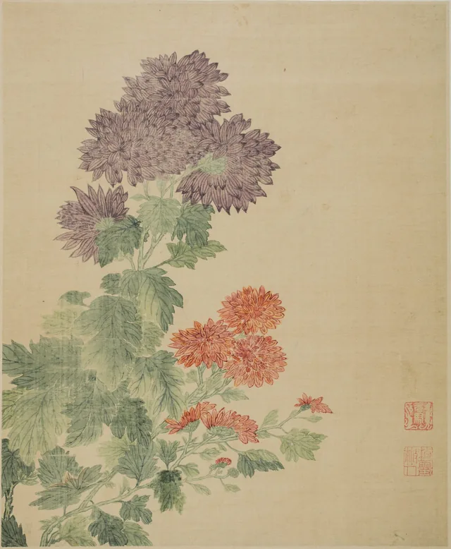 菊