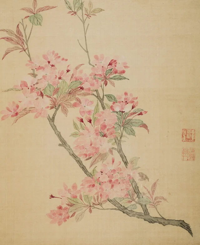 Ma Yuanyu