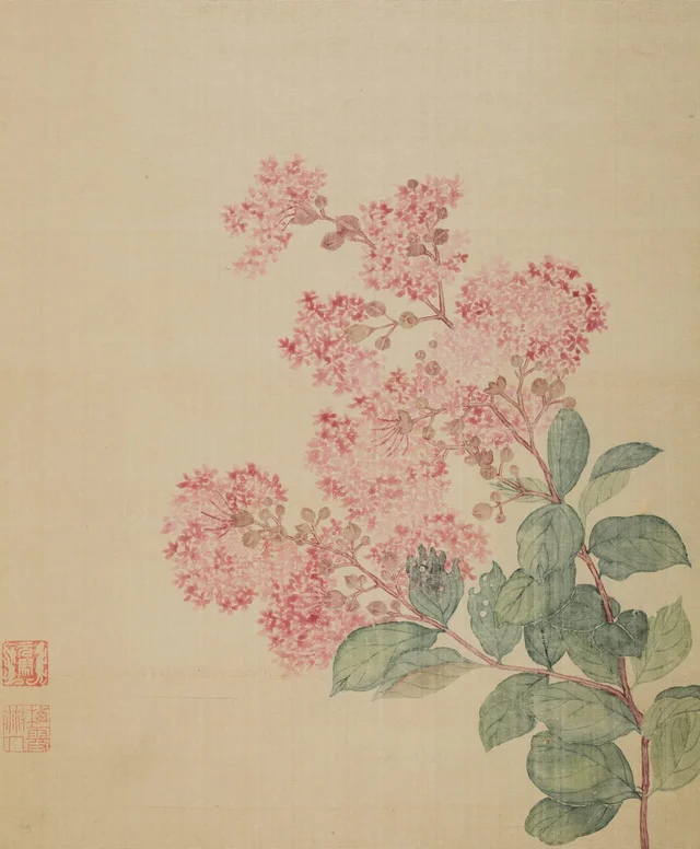 Hortensia, Ma Yuanyu