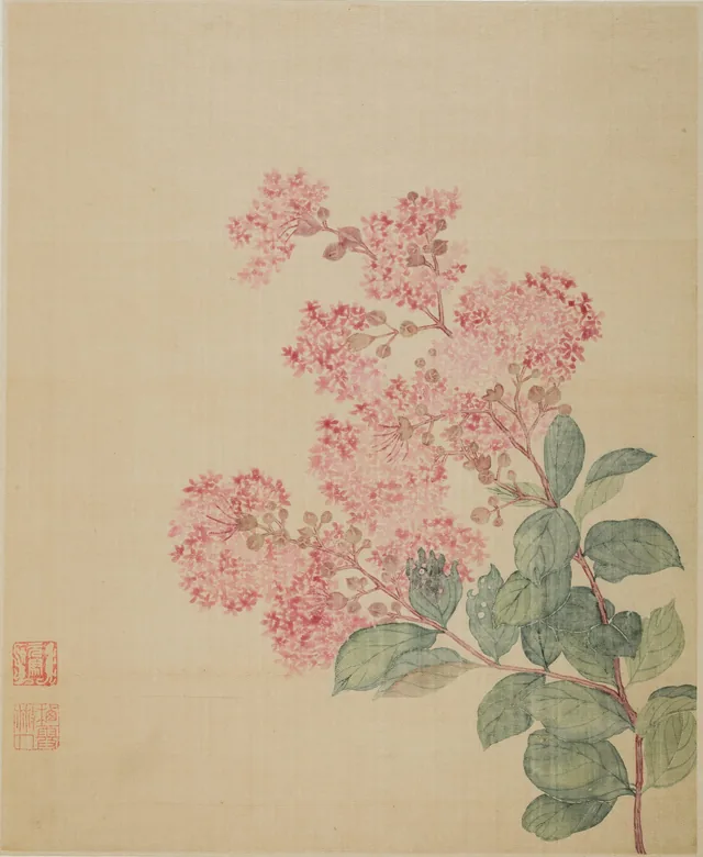 紫陽花