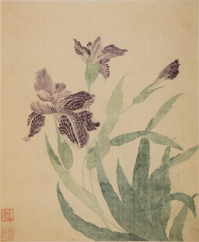 Irises, Ma Yuanyu