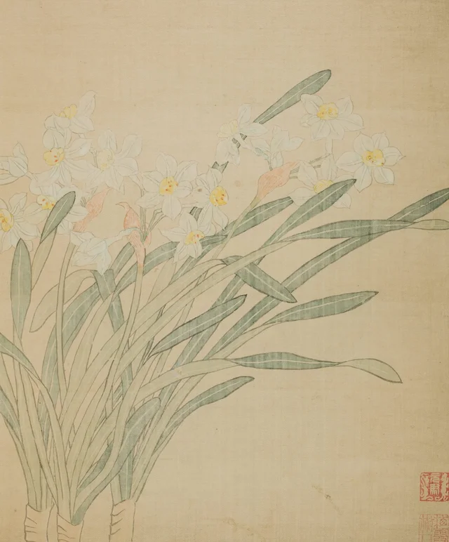 水仙