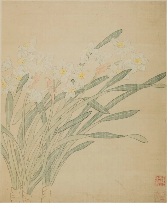 Narcisses, Ma Yuanyu