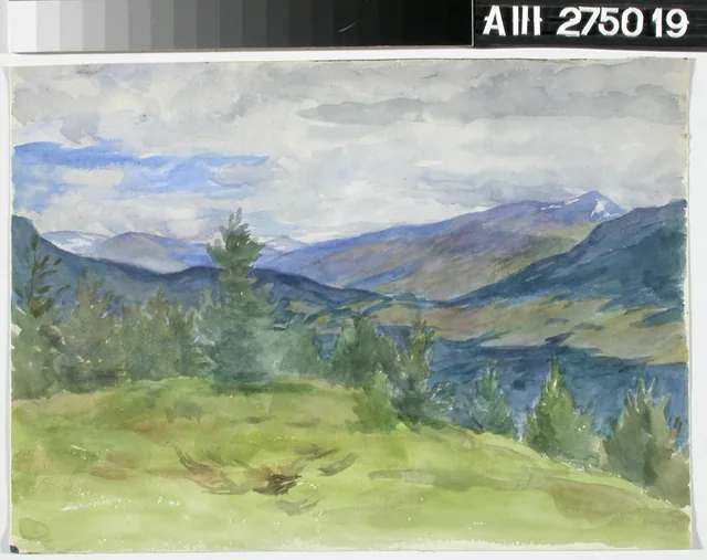 高原の風景