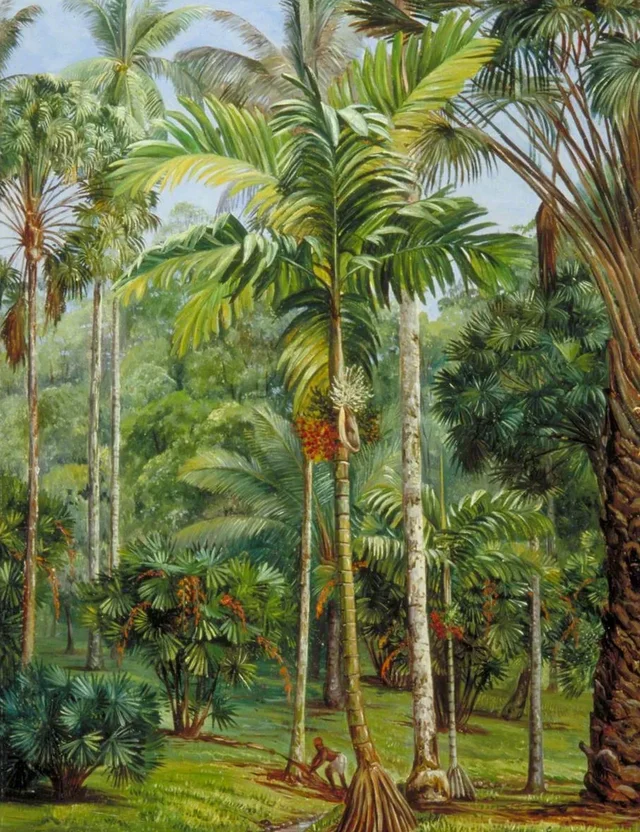Marianne North