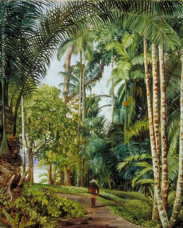 Walk under Palms, with a glimpse of the River at Sarawak
