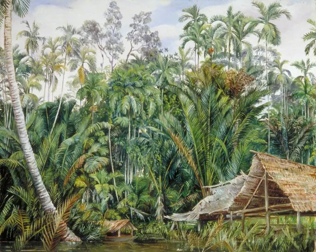 Old Boat-house and Riverside Vegetation, Sarawak