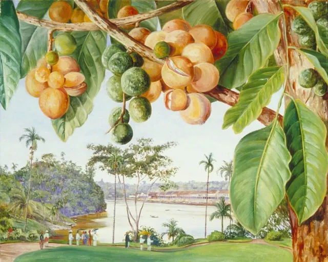 View from the Istana, Sarawak
