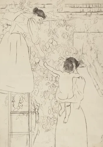 Gathering Fruit