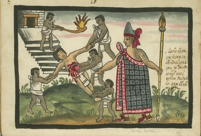 Tovar Codex: the common way of sacrifice: tearing out the heart and striking the idol's face with it, Mesoamerica