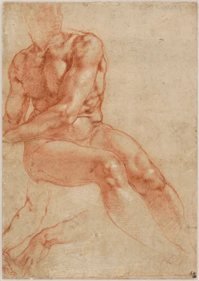 Seated Young Male Nude and Two Arm Studies