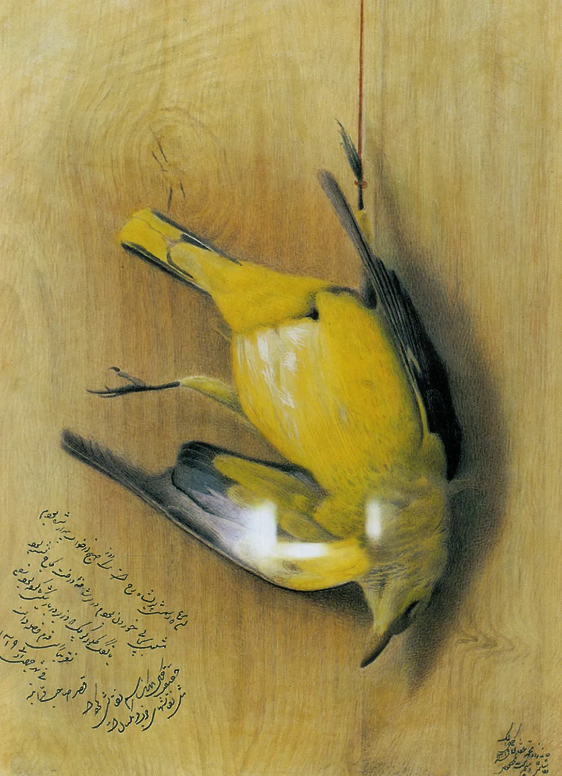 Hunted Bird, Kamal-ol-Molk
