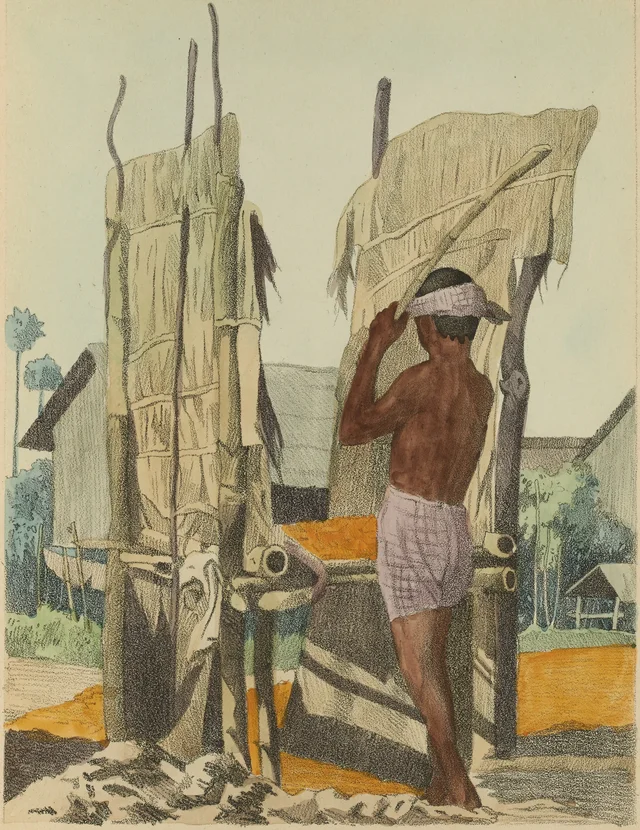 Battage du maïs, Monographie dessinée de l'Indochine