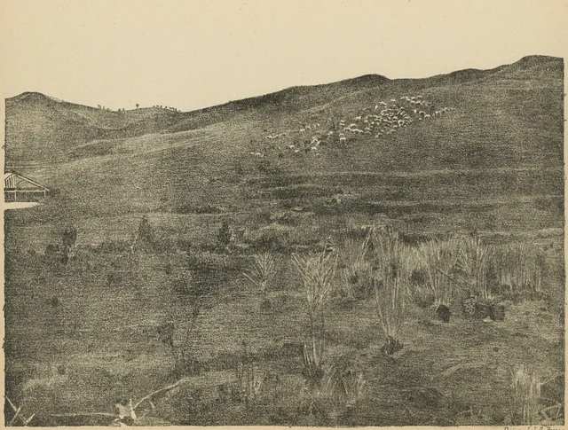 Dalat, troupeaux de la ferme de Dankia au pâturage, Monographie dessinée de l'Indochine