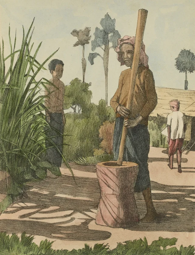Descascarillado, Monografía dibujada de Indochina