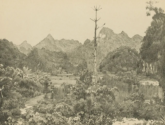Alto Tonkín, Monografía dibujada de Indochina
