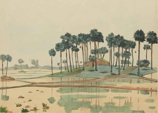 Plantación de palmeras de azúcar, Monografía dibujada de Indochina