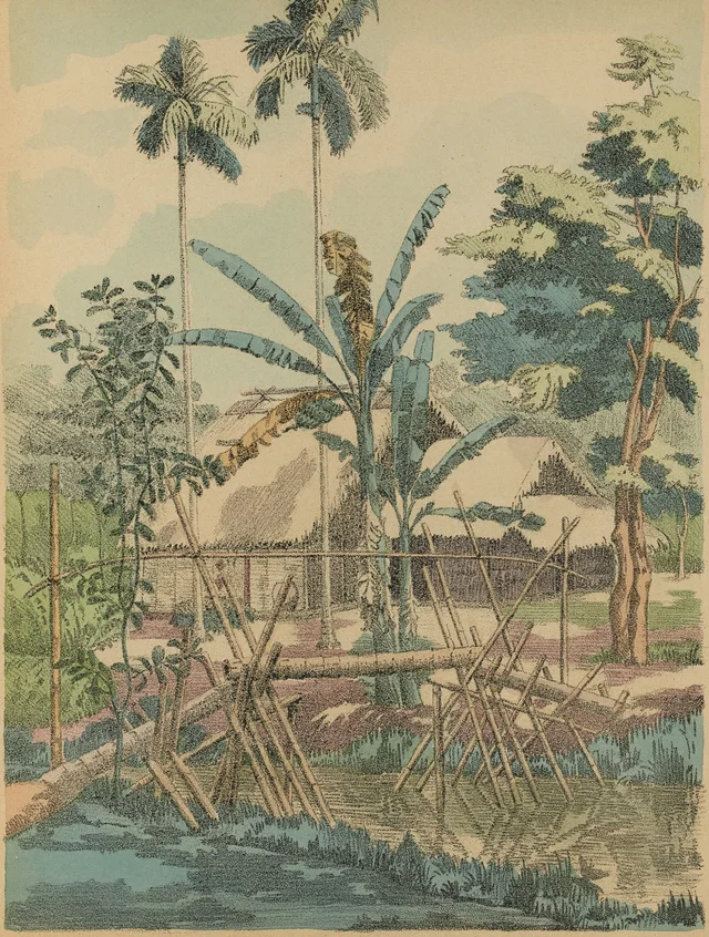 “Monkey bridge” over a rach at Sadec