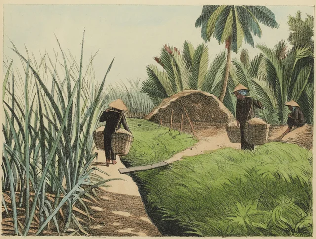 Heap of manure to fertilise the sugar cane field