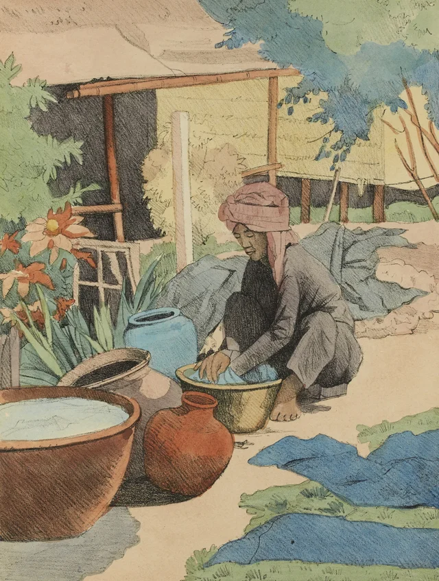 Tintorería, Monografía dibujada de Indochina