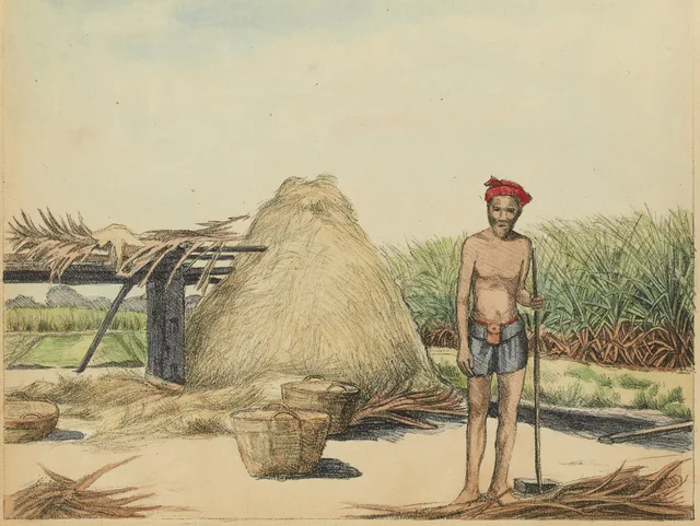A nhà-quê, owner of a sugar cane field