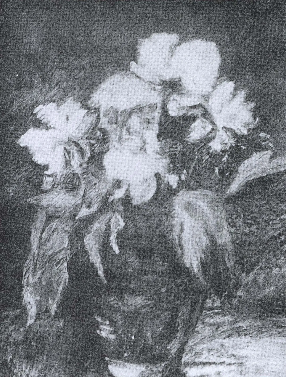 Pivoines, Na Hye-sok