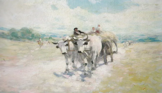 Ox-Cart in the Sun