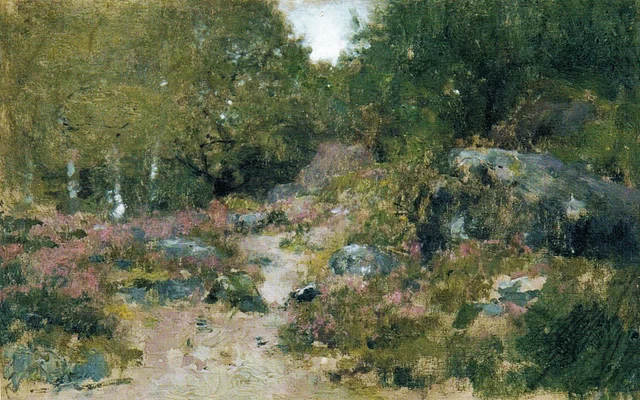 Path among Rocks and Heather