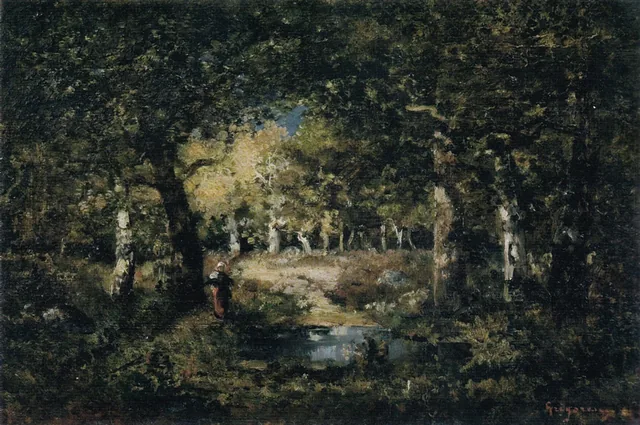 Clairière dans la forêt