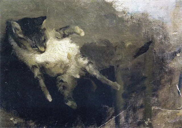 The Cat