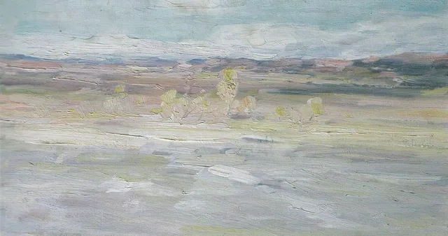 Paysage de plaine inondée